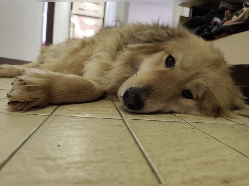 Nemo ein sehr trauriger Engel