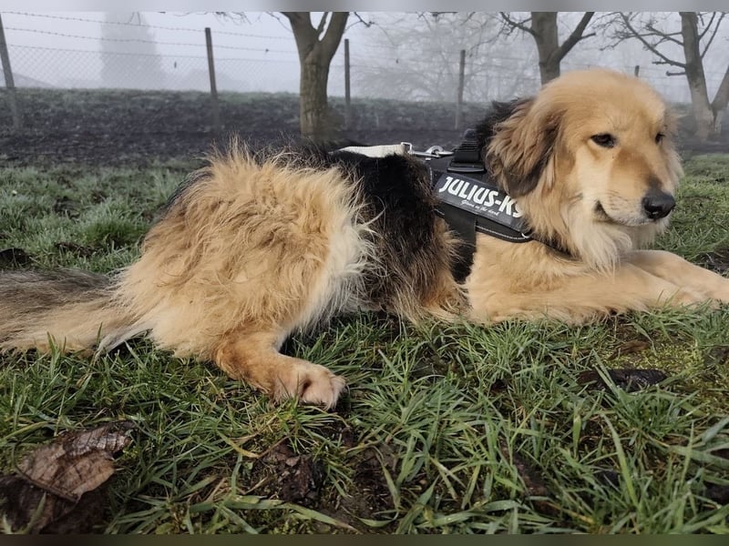 Nemo ein sehr trauriger Engel