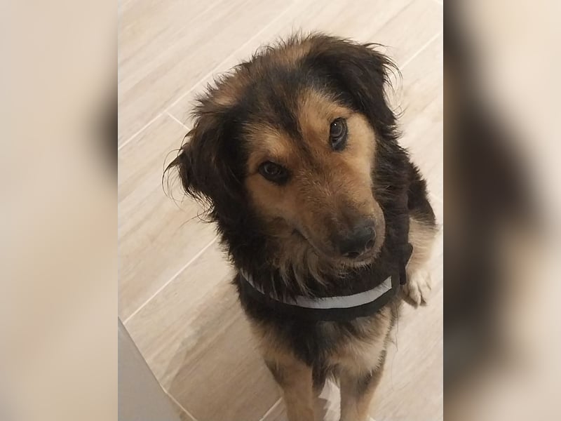 Bonze ein absoluter Schatz