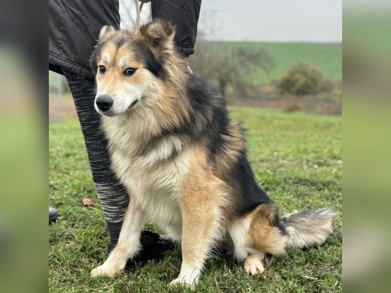 Boki ein wundervoller freundlicher Schatz