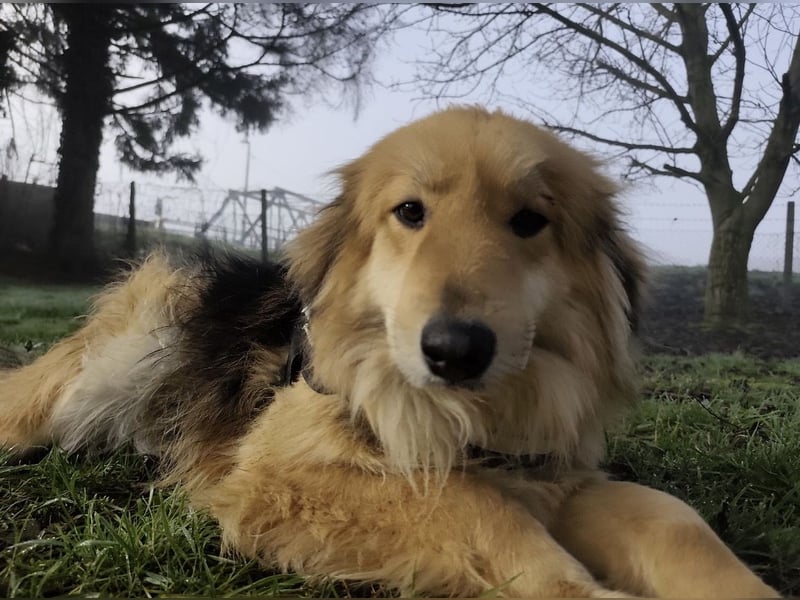 Nemo ein sehr trauriger Engel