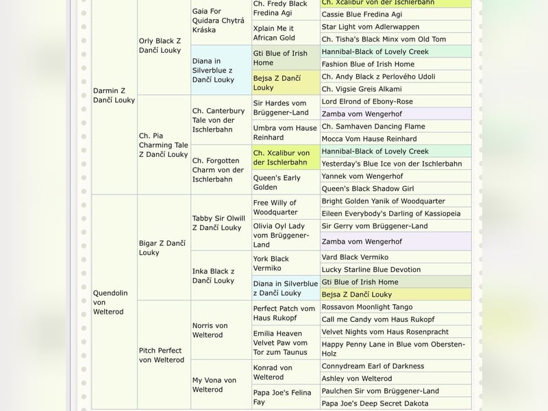 Colliewelpen in tricolour