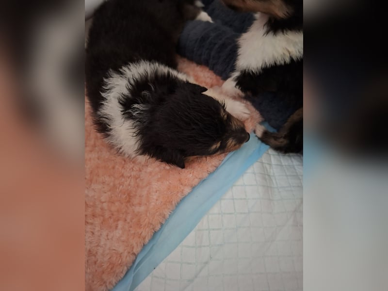 Einfach zum verlieben