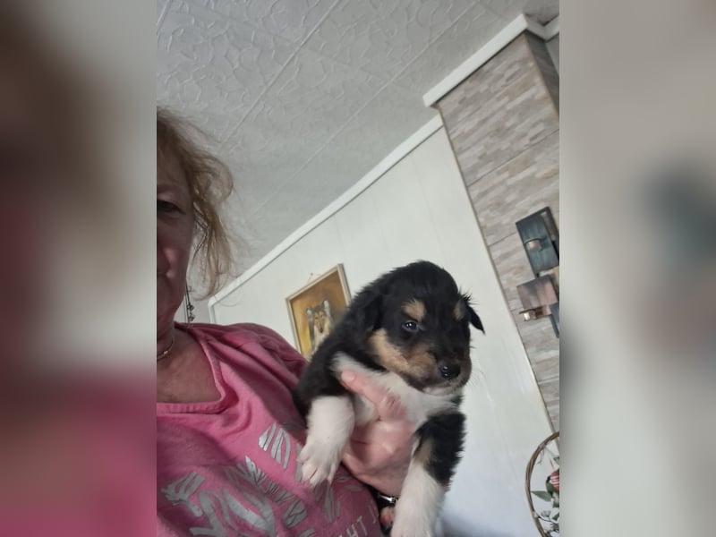 Einfach zum verlieben