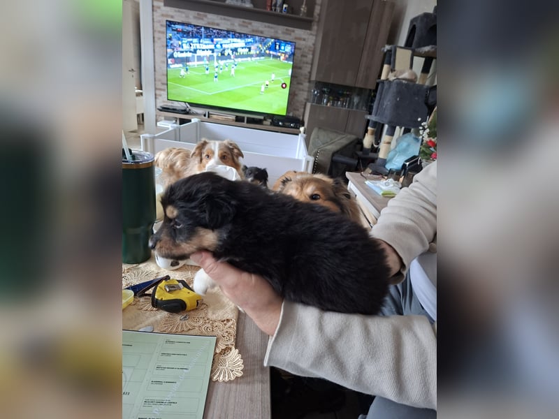 Einfach zum verlieben