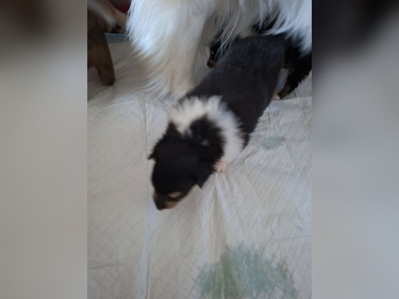 Einfach zum verlieben