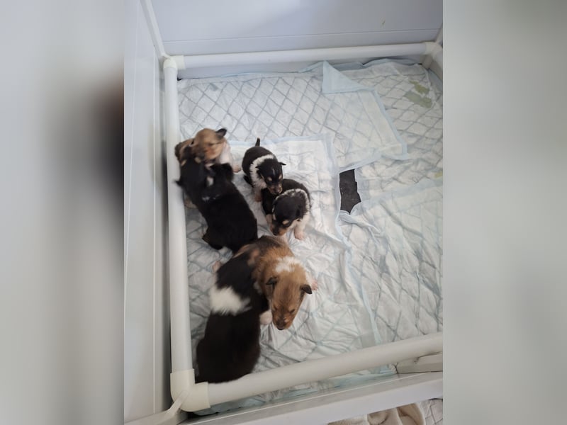 Einfach zum verlieben