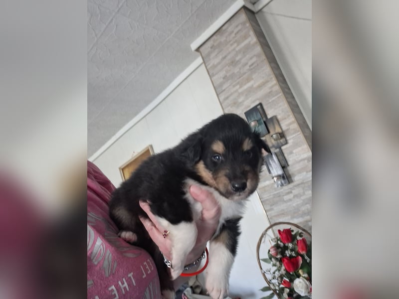 Einfach zum verlieben