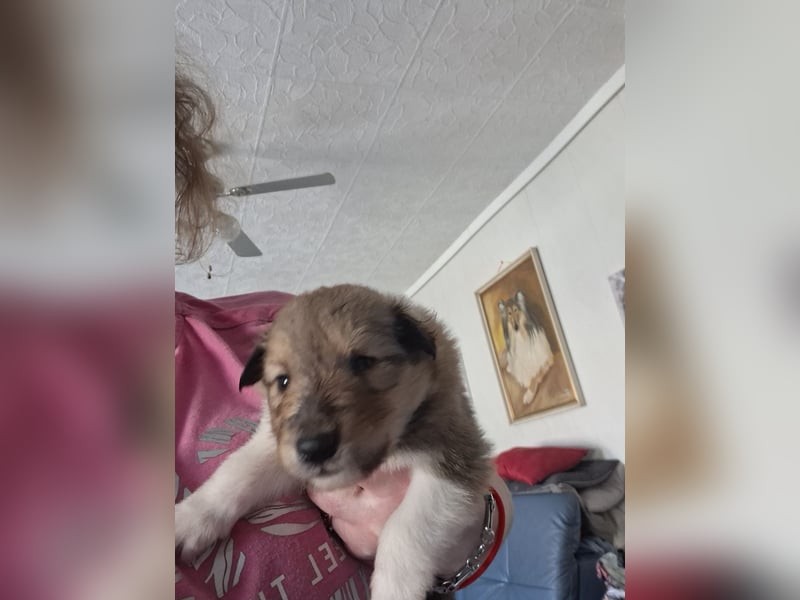 Einfach zum verlieben