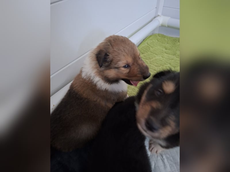 Einfach zum verlieben