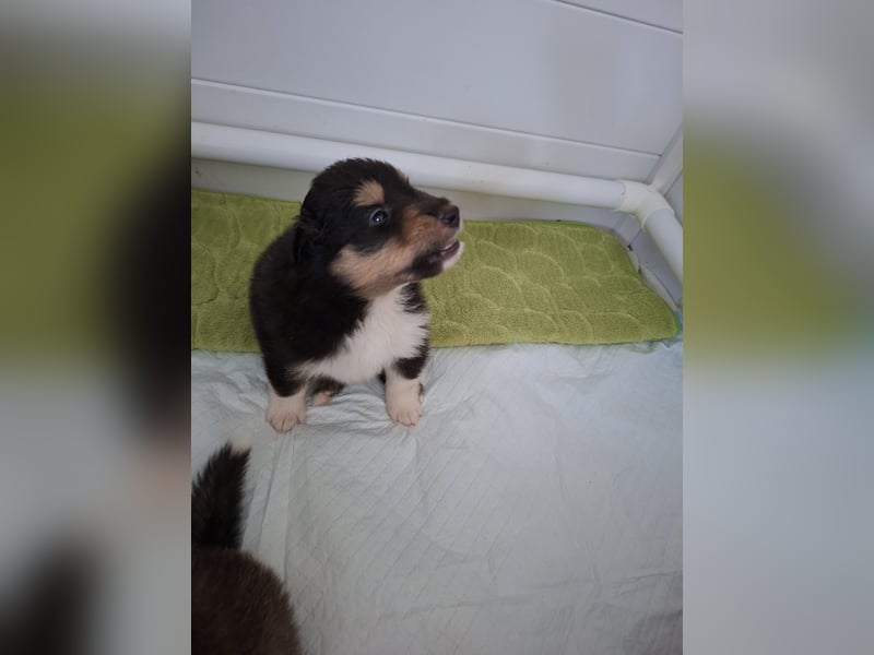 Einfach zum verlieben