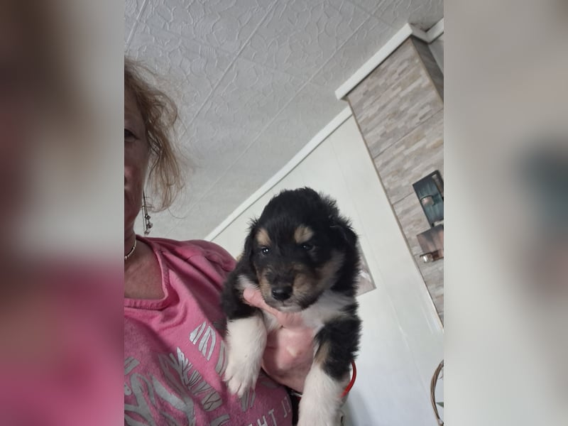 Einfach zum verlieben