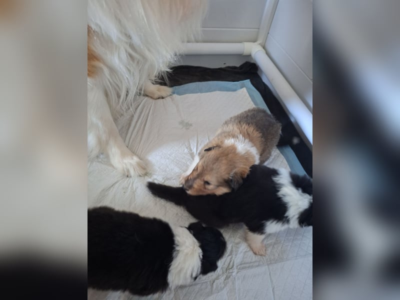 Einfach zum verlieben