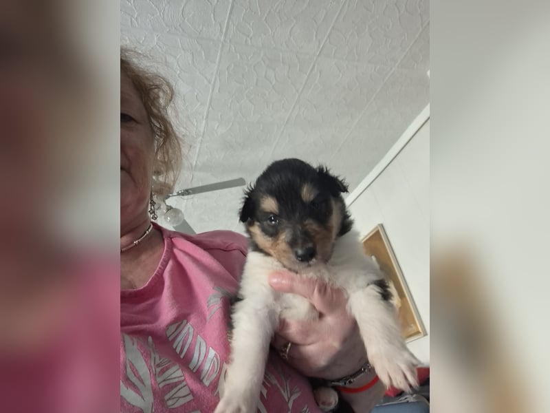 Einfach zum verlieben