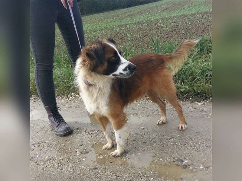 Frodo ein Hübscher Schatz