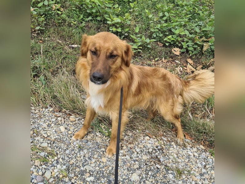 Yiwu ein liebesbedürftiger Bub