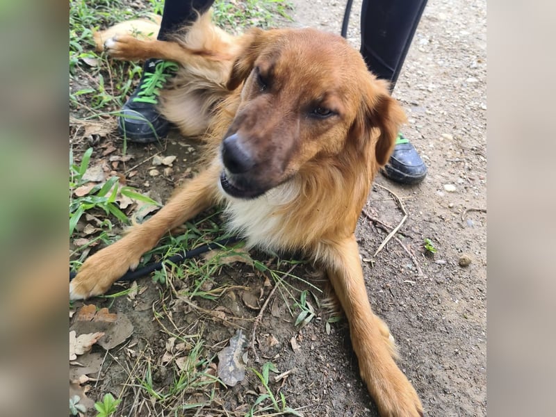 Yiwu ein liebesbedürftiger Bub