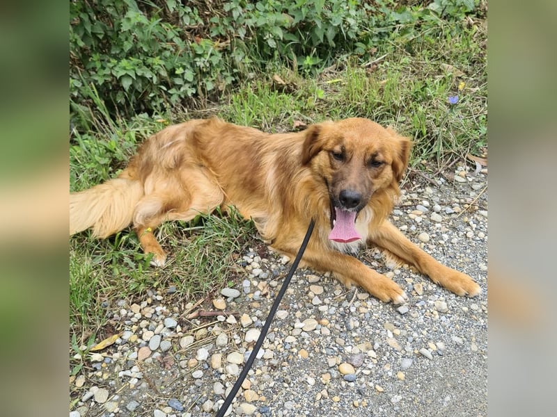 Yiwu ein liebesbedürftiger Bub