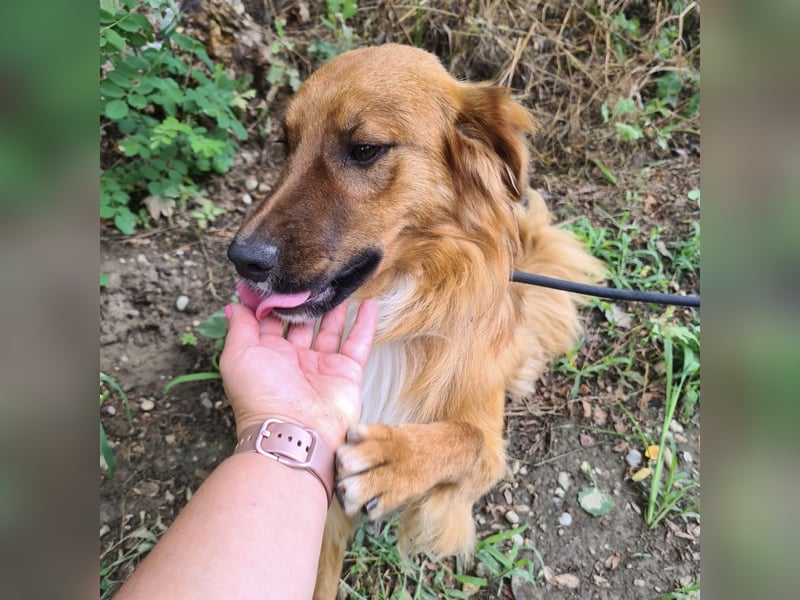 Yiwu ein liebesbedürftiger Bub