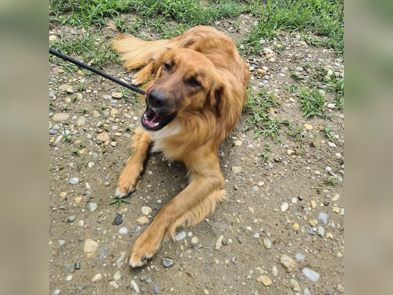 Yiwu ein liebesbedürftiger Bub