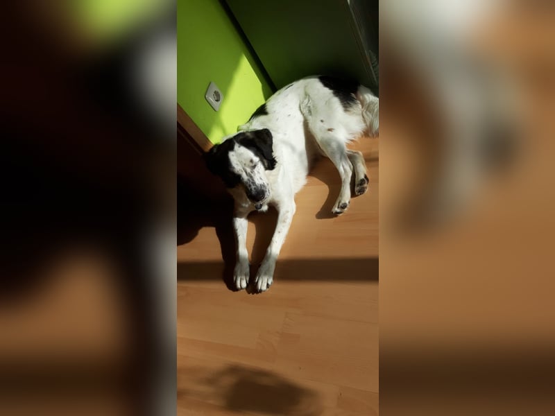 Laiko - in Duisburg
