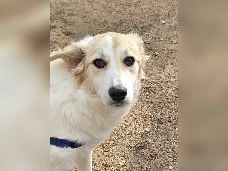 Buffy: ein Schatz für "Überall mit dabei"