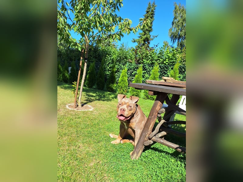 Ich suche ein neues Zuhause