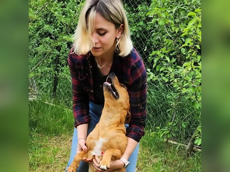 SHARAI ♥ - Gerettet von der Straße nahe Slatina