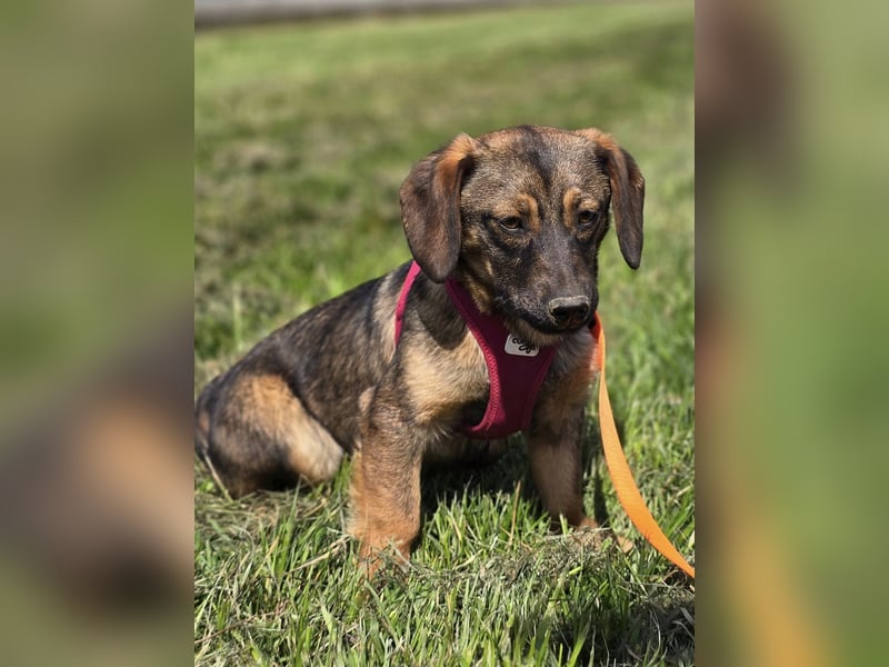 Nora ❤️