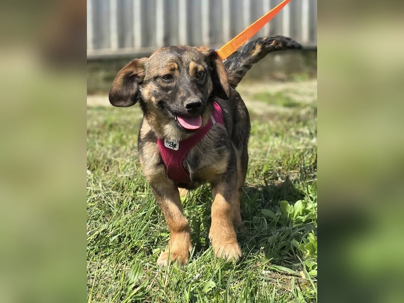 Nora ❤️