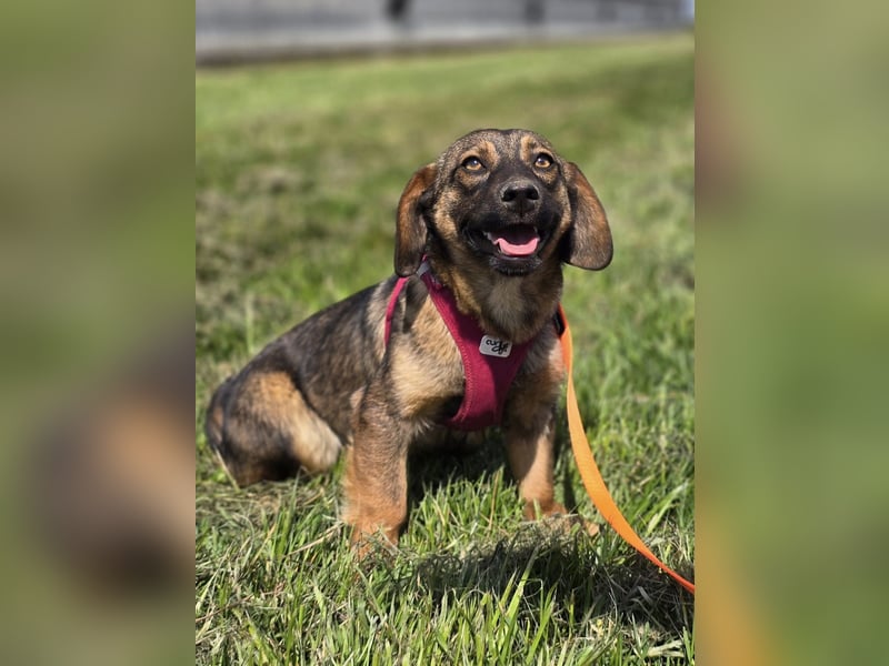 Nora ❤️