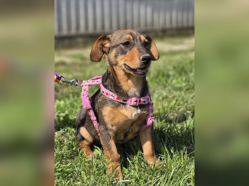 Nela ❤️
