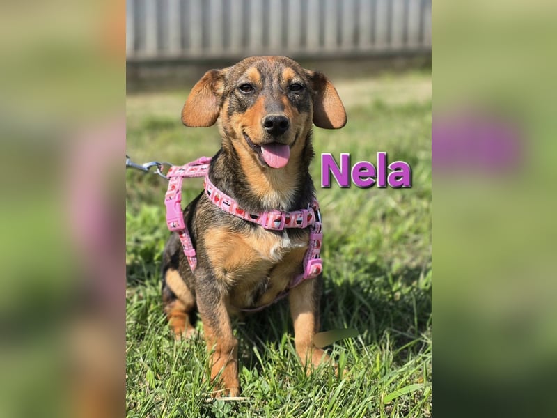 Nela ❤️