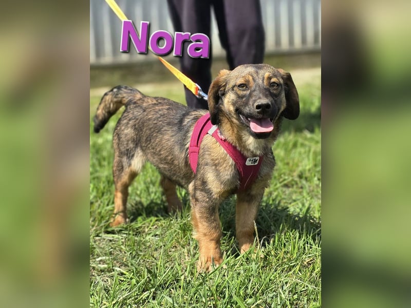 Nora ❤️