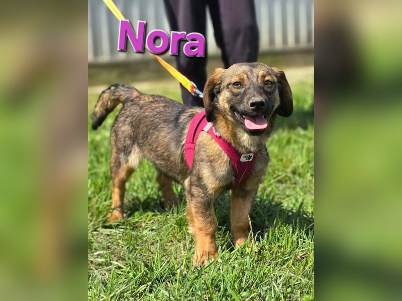 Nora sucht eine liebevolle Familie