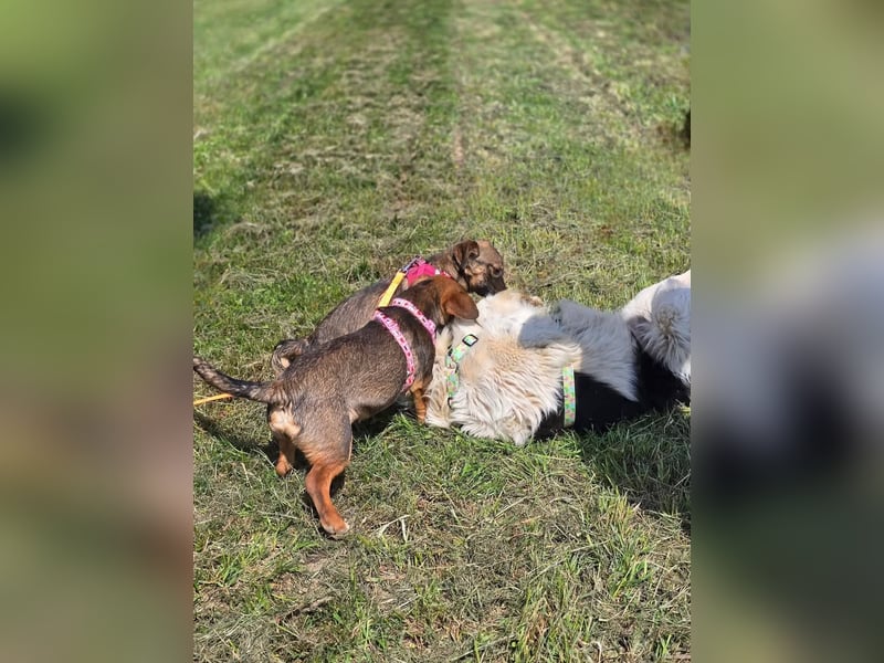 Nora sucht eine liebevolle Familie