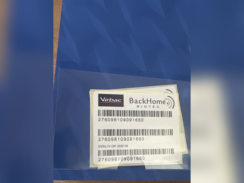 Süßes Dackelmädchen sucht ein liebevolles Zuhause