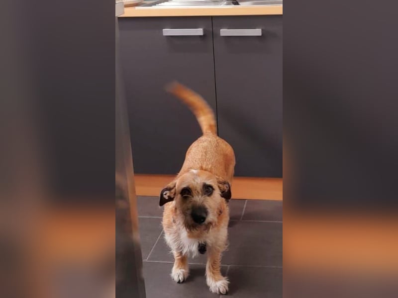 Dori verliert leider ihr Zuhause