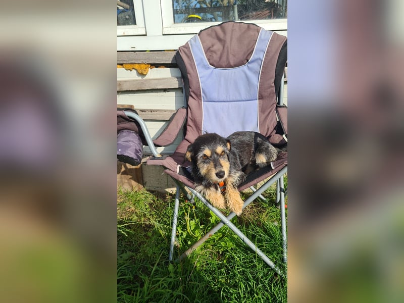 Kleiner Rudine freut sich auf Deinen Besuch