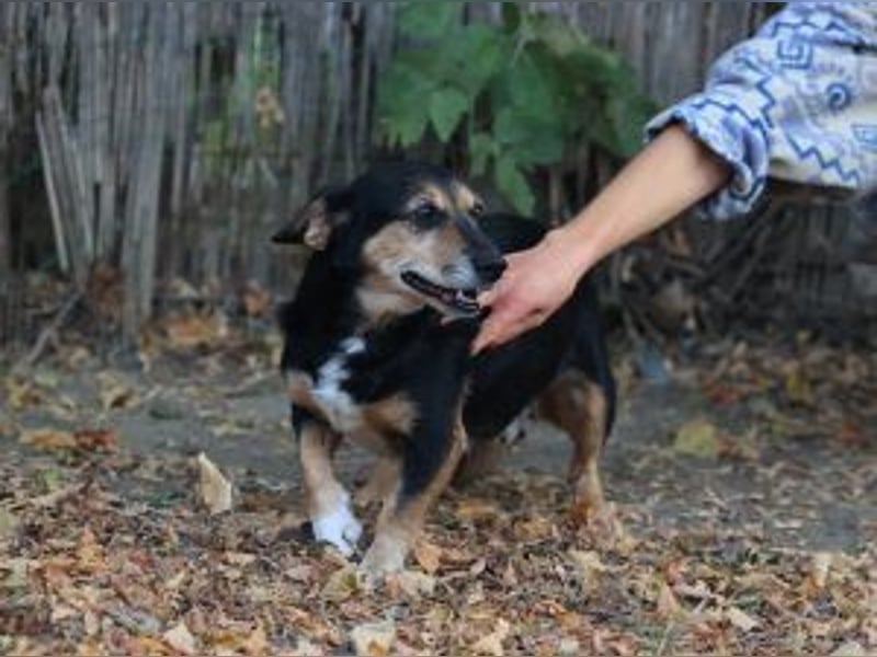 Ruby: Besitzerin unerwartet gestorben