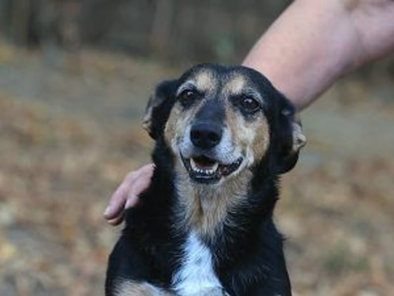 Ruby: Besitzerin unerwartet gestorben