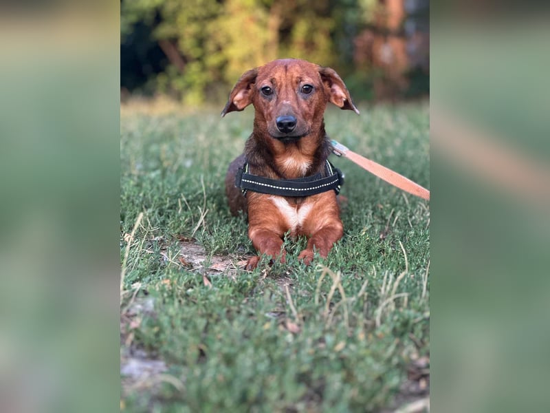 Helga, geboren 01.03.2025 sucht ihren Neuanfang