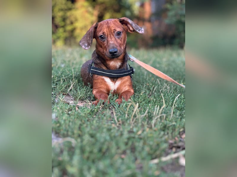 Helga, geboren 01.03.2025 sucht ihren Neuanfang