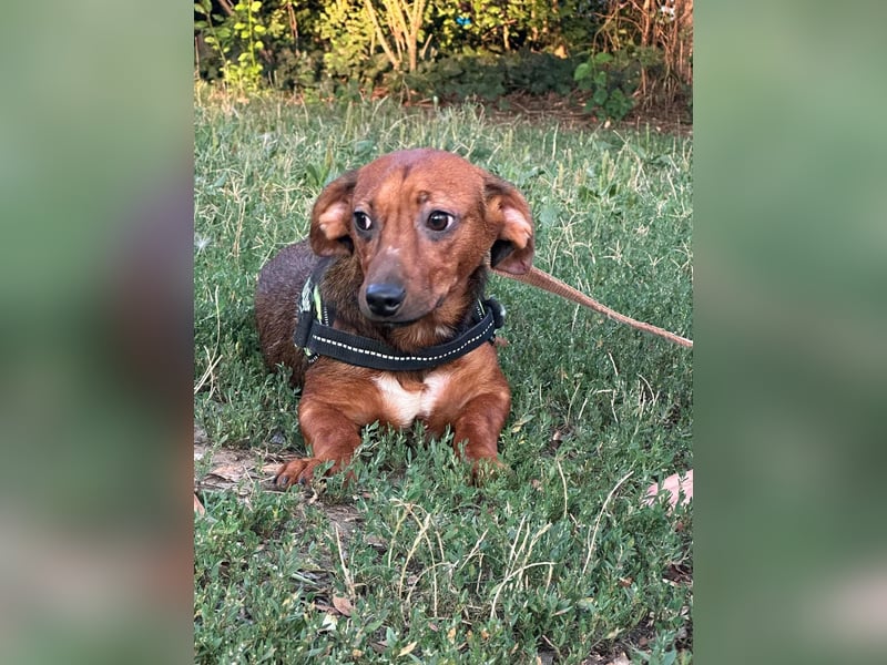 Helga, geboren 01.03.2025 sucht ihren Neuanfang