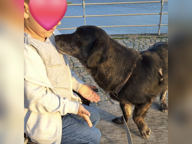 Traumwesen Senka wartet in Bingen