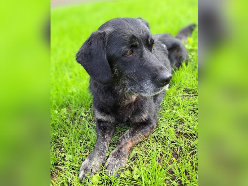 Traumwesen Senka wartet in Bingen