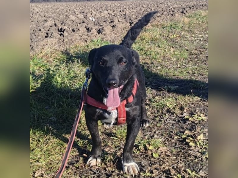 Heidi ein Sonnenschein