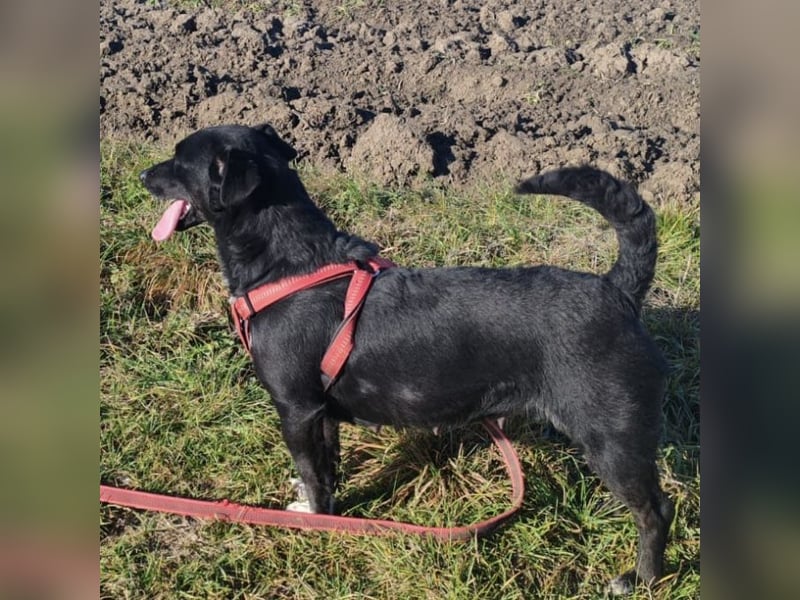Heidi ein Sonnenschein