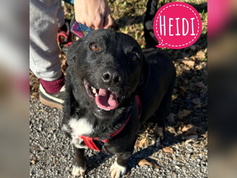 Heidi ein Sonnenschein