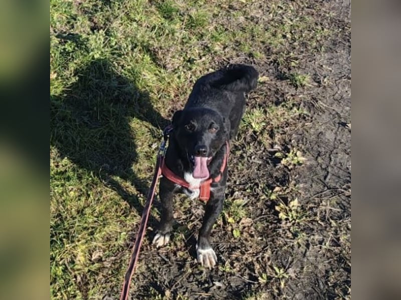 Heidi ein Sonnenschein